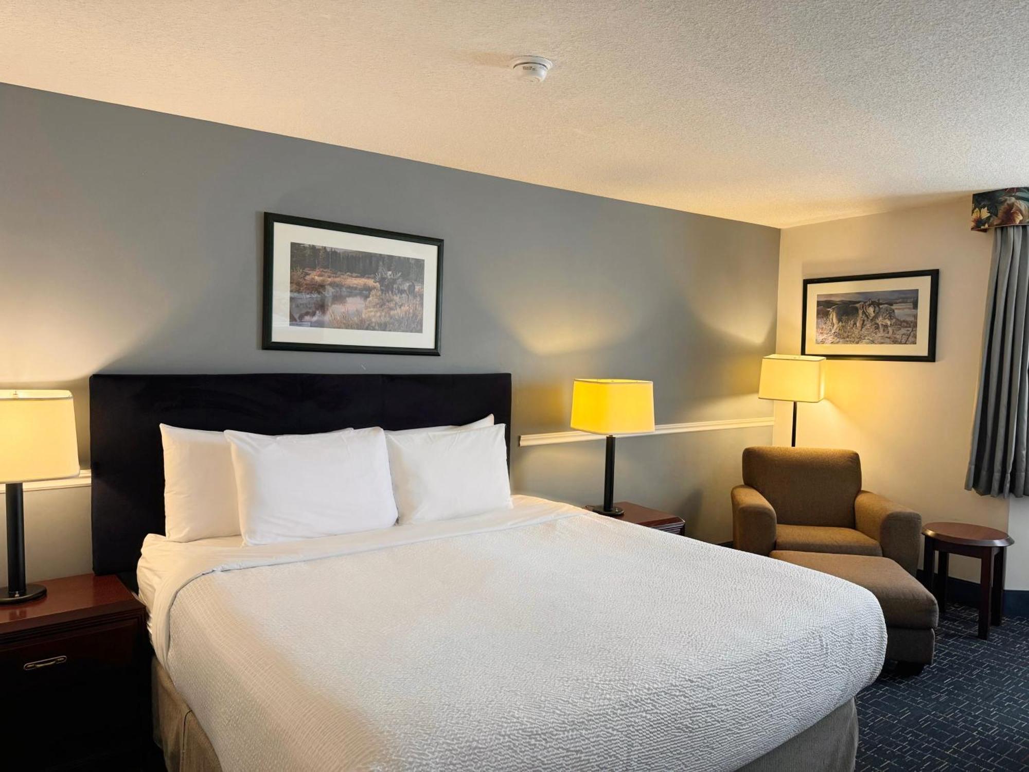 Divya Sutra Plaza And Conference Centre Calgary Airport Hotell Exteriör bild